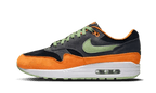 Nike Air Max 1 PRM Duck Anthracite