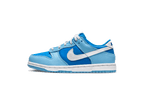 Nike Dunk Low Argon Enfant (PS)