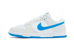 Nike Dunk Low Retro Photo Blue