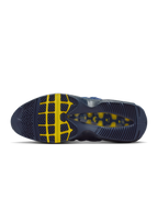 Nike Air Max 95 SB Eric Koston Obsidian Speed Yellow