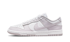 Nike Dunk Low Light Violence Venice