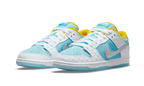 Nike SB Dunk Low Pro FTC